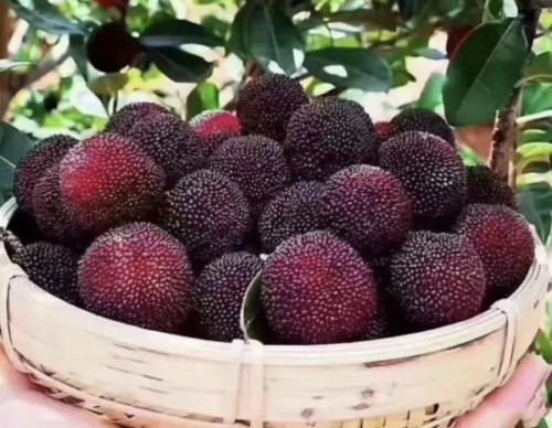 微信截图_20240814105224