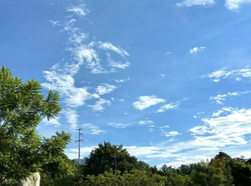 微信截图_20240819102257