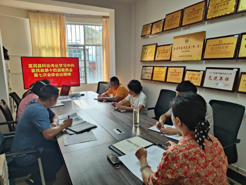 图片11