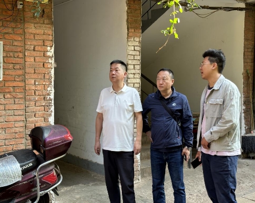 县政协副主席李雪彬实地调研国家卫生县复审暨健康县城建设工作2