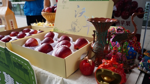 DSC04863(1)