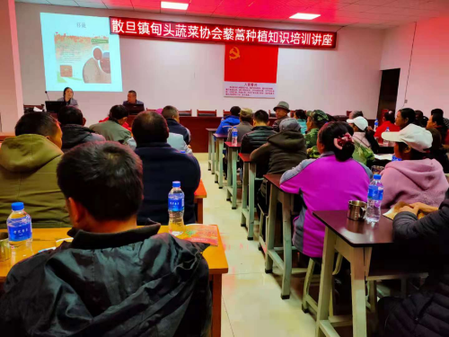 图片 7