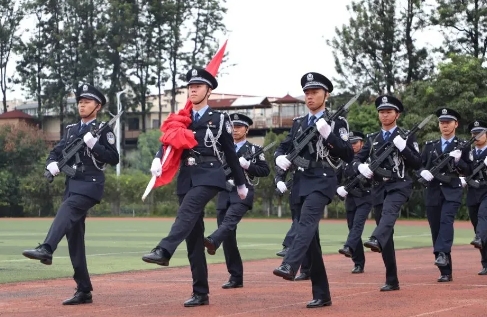 微信截图_20241008144742