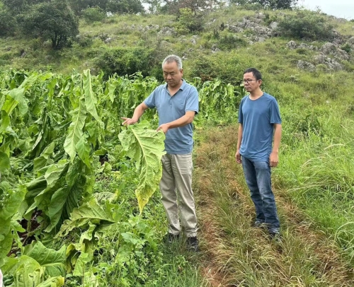 微信图片_20241014111518