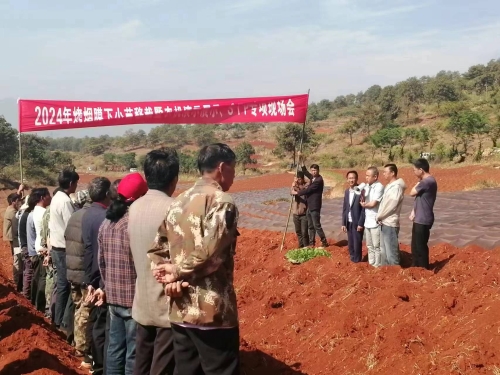 微信图片_20240911160037