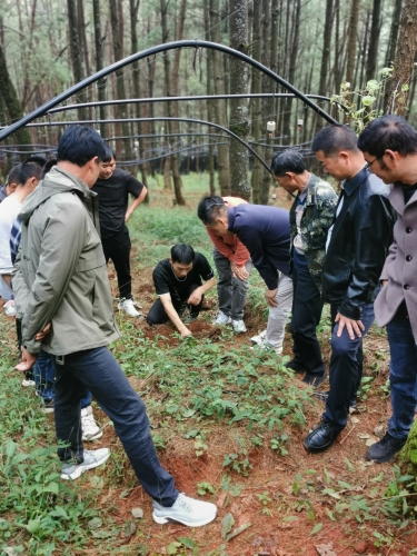 寻甸县功山镇林下经济观摩学习2 (1)