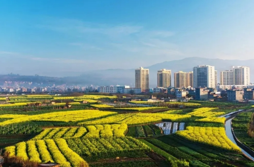微信截图_20241021111741
