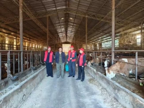 34181bcec895b7d3214e9842ebf1568