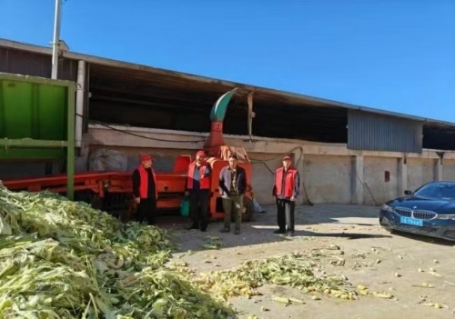 445274989d7f8f7778f13d456ecd383