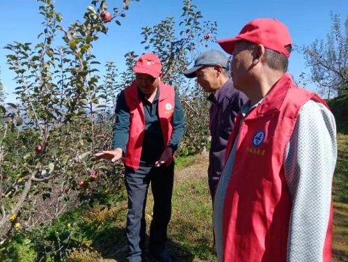 067ea58b569c4429dd373550c1f6032