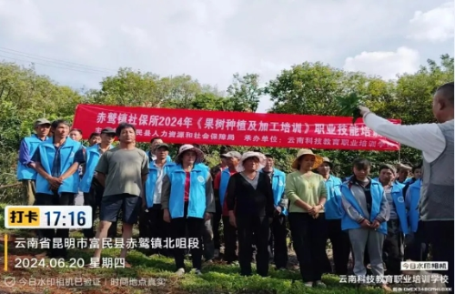 微信截图_20241127102045