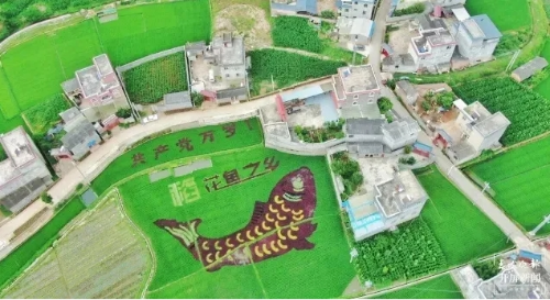 微信截图_20241127152406