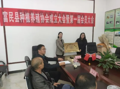 微信截图_20241223150601
