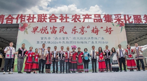 图片31