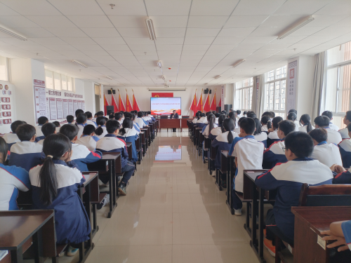 图片3