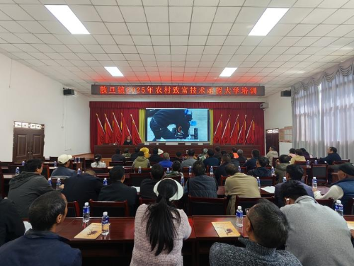 图片 1