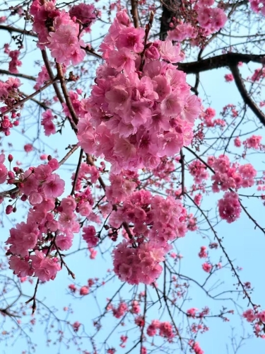 微信图片_<span style='background-color:;'>202503131605501</span>