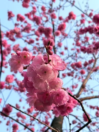 微信图片_<span style='background-color:;'>202503131605521</span>