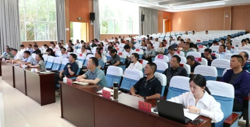 微信截图_20250526172624