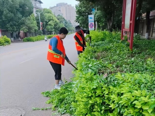 微信图片_20250727112140_430