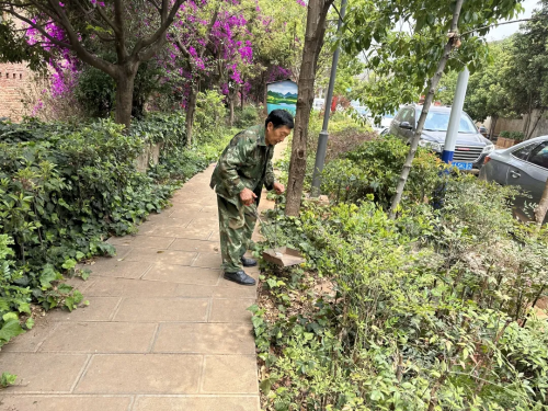 图片 1