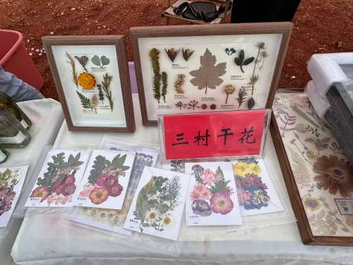 微信图片_20250908144631_485