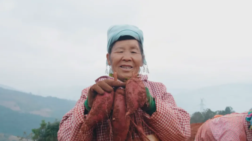 ScreenShot_2025-12-29_112317_583