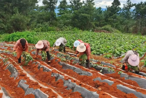 ScreenShot_2025-12-29_112328_855