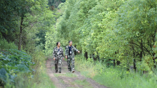 屏幕截图 2026-01-28 170932