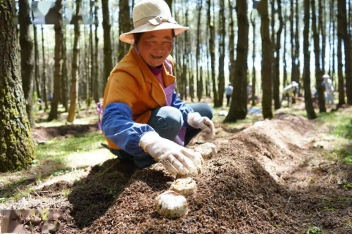 微信图片_20260130153901