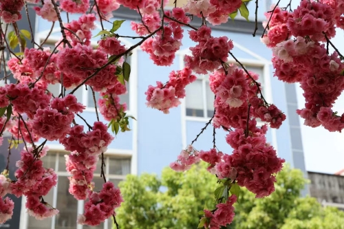 286a86530a433866954506f454c66c7f