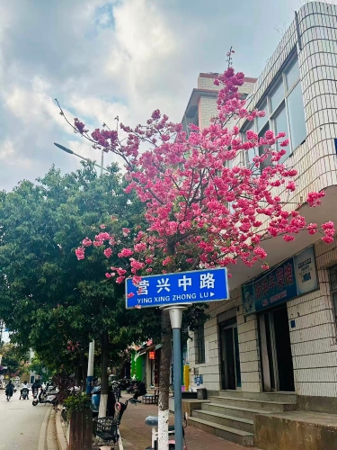 827db27a56efd067c3fa9e0b6bf07165