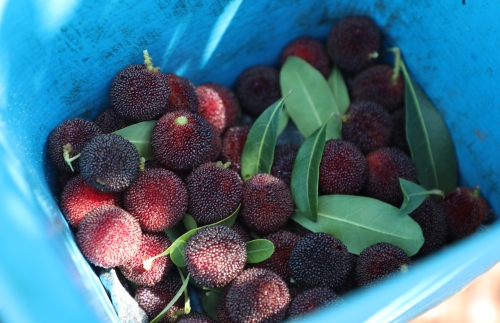 0B7A2677