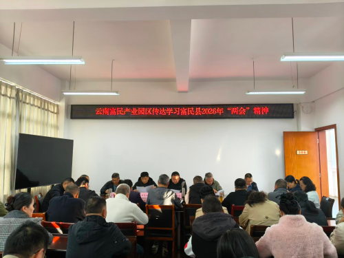 图片1