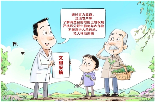 【普法漫画】文明采摘（来源：中国普法网）