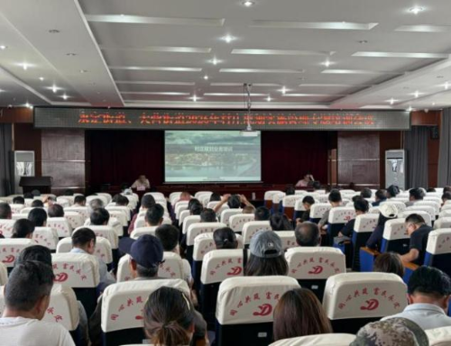 图片4