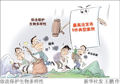 依法保护生物多样性